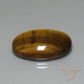 Ojo de Tigre Marrón dorado natural de 19.63 ct, Ovalada, Opaco