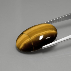Ojo de Tigre Marrón cálido natural de 18.94 ct, Corte Óvalo, Opaco