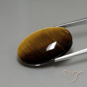 Ojo de Tigre Marrón medio natural de 19.68 ct, Ovalada, Opaco