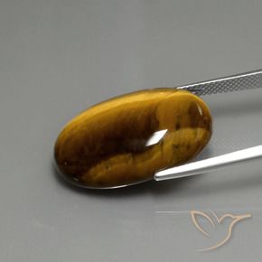 Ojo de Tigre Marrón medio natural de 20.09 ct, Ovalada, Opaco