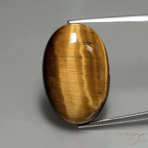 20.74ct Natural Marrón medio Ojo de Tigre, Ovalada, Opaco