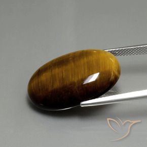 Ojo de Tigre Marrón medio natural de 20.74 ct, Ovalada, Opaco