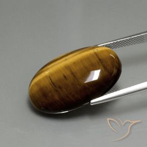 Ojo de Tigre Marrón dorado natural de 20.36 ct, Ovalada, Opaco