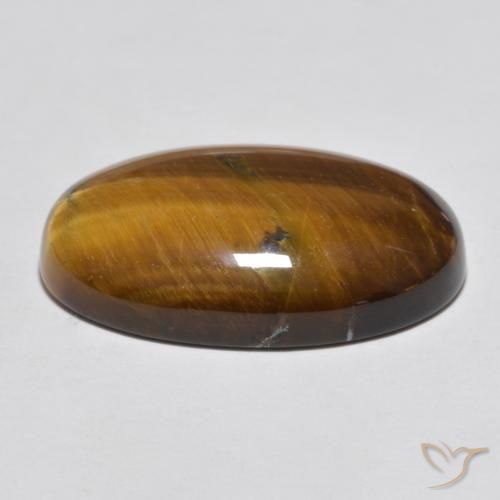 Ojo de Tigre Marrón cálido natural de 20.73 ct, Ovalada, Opaco