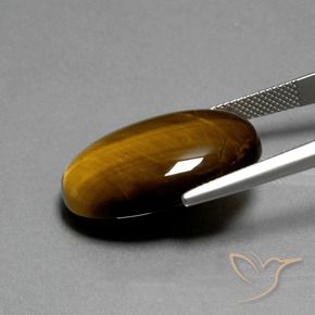 Ojo de Tigre Marrón cálido natural de 20.73 ct, Ovalada, Opaco