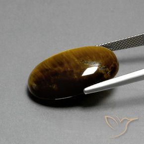 Ojo de Tigre Marrón cálido natural de 20.77 ct, Ovalada, Opaco
