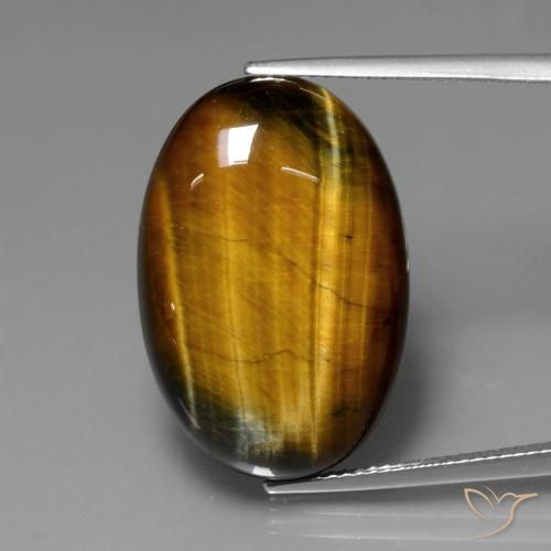 20.61ct Natural Marrón medio Ojo de Tigre, Ovalada, Opaco