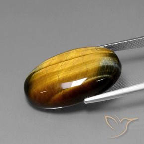 Ojo de Tigre Marrón medio natural de 20.61 ct, Ovalada, Opaco