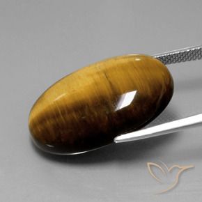 Ojo de Tigre Marrón cálido natural de 20.28 ct, Ovalada, Opaco