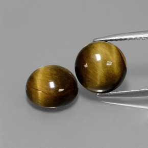 Gemas de Ojo de Tigre Marrón oro natural de  ct, Corte Redondo, Opaco