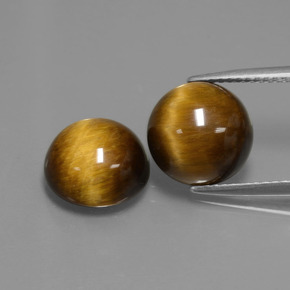 Gemas de ojo de tigre marrón dorado natural de  ct, corte redondo, opaco