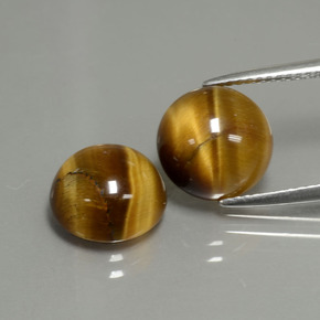 Gemas de tiger's eye marrón natural de  ct, corte redondo, opaco