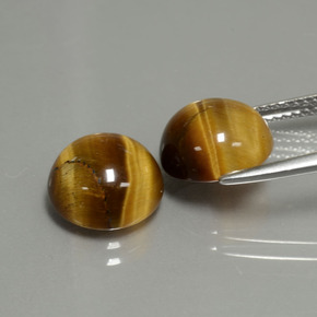Gemas de tiger's eye marrón natural de  ct, corte redondo, opaco