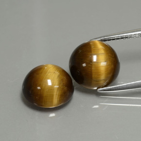 Gemas de Ojo de Tigre Marrón oro natural de  ct, Corte Redondo, Opaco
