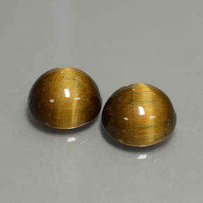 Gemas de Ojo de Tigre Marrón oro natural de  ct, Corte Redondo, Opaco