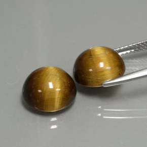 Gemas de Ojo de Tigre Marrón oro natural de  ct, Corte Redondo, Opaco