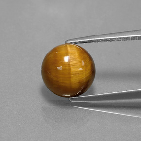 Tiger's eye marrón natural de 3,69 ct, corte redondo, opaco