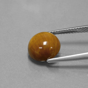 Tiger's eye marrón natural de 3,69 ct, corte redondo, opaco