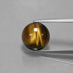 Tiger's eye marrón natural de 3,72 ct, corte redondo, opaco