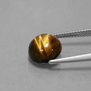Tiger's eye marrón natural de 3,72 ct, corte redondo, opaco
