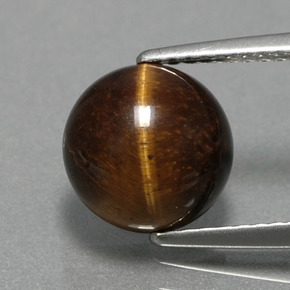 Tiger's eye marrón natural de 2,79 ct, corte redondo, opaco