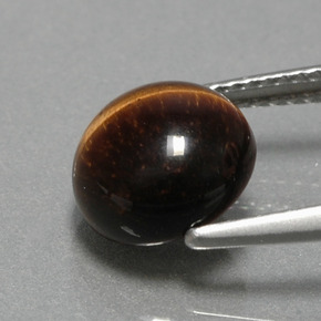 Tiger's eye marrón natural de 2,79 ct, corte redondo, opaco