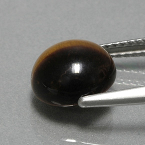 Tiger's eye marrón natural de 2,78 ct, corte redondo, opaco