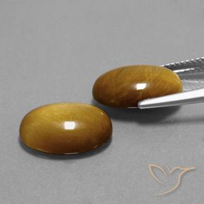 Gemas de Ojo de Tigre Marrón dorado natural de 9.06 ct, Ovalada, Opaco