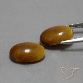 Gemas de Ojo de Tigre Marrón dorado natural de 9.05 ct, Ovalada, Opaco