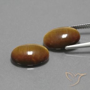 Gemas de Ojo de Tigre Marrón cálido natural de 9.13 ct, Ovalada, Opaco