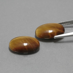 Gemas de Ojo de Tigre Marrón oro natural de  ct, Corte Óvalo, Opaco