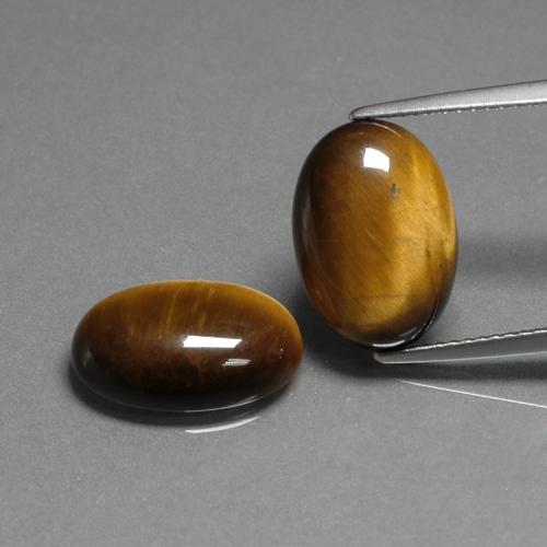 Gemas de Ojo de Tigre Marrón dorado natural de 9.11 ct, Corte Óvalo, Opaco