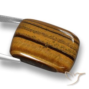 Ojo de Tigre Marrón jengibre natural de 41.49 ct, Forma Cojín, Opaco