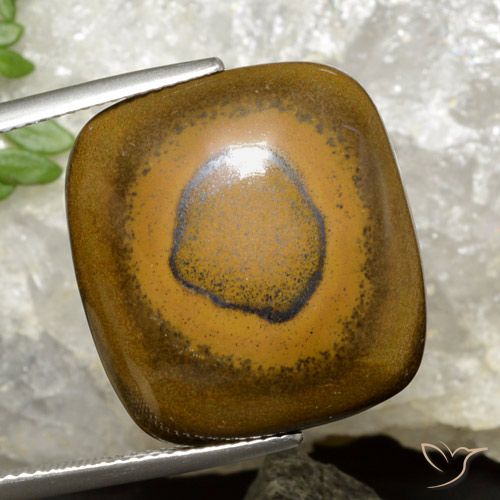 26.35ct Natural Marrón dorado Ojo de Tigre, Forma Cojín, Opaco