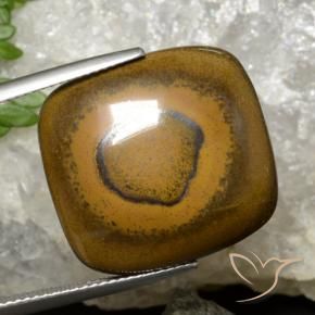 Ojo de Tigre Marrón dorado natural de 26.35 ct, Forma Cojín, Opaco