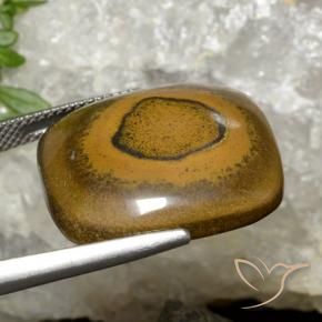 Ojo de Tigre Marrón dorado natural de 26.35 ct, Forma Cojín, Opaco
