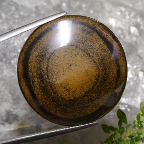 Tiger's eye marrón natural de 59,01 ct, corte redondo, opaco
