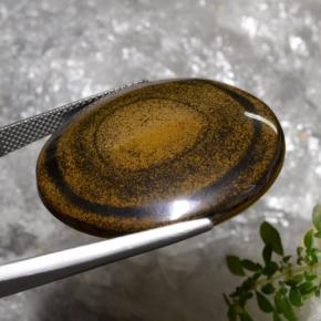Tiger's eye marrón natural de 59,01 ct, corte redondo, opaco