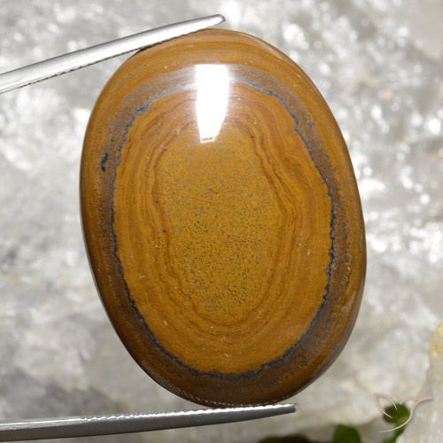 63.98ct Natural Marrón dorado Ojo de Tigre, Ovalada, Opaco