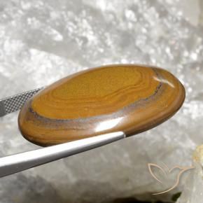 Ojo de Tigre Marrón dorado natural de 63.98 ct, Ovalada, Opaco