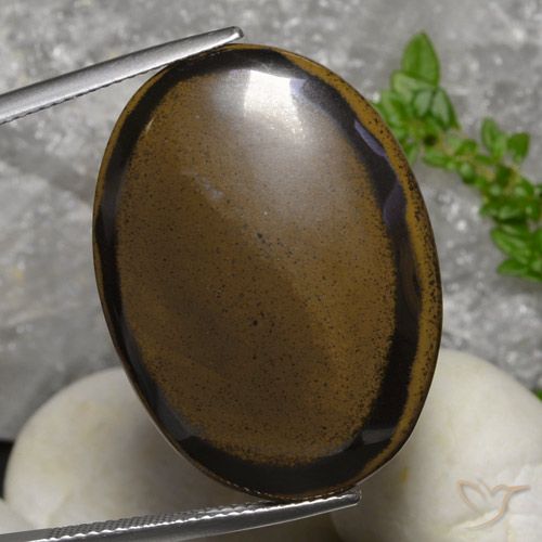 30.73ct Natural Marrón nogal Ojo de Tigre, Ovalada, Opaco