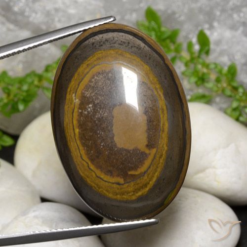 39.14ct Natural Marrón cálido Ojo de Tigre, Ovalada, Opaco