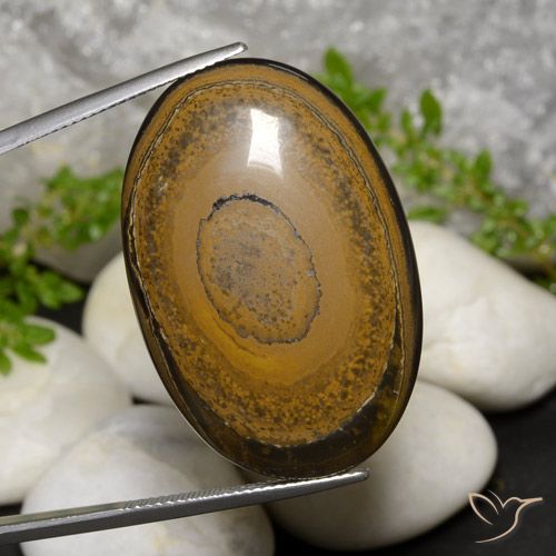 52.57ct Natural Marrón amarillento Ojo de Tigre, Ovalada, Opaco