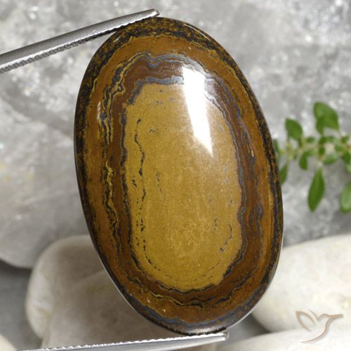 51.22ct Natural Marrón cálido Ojo de Tigre, Ovalada, Opaco