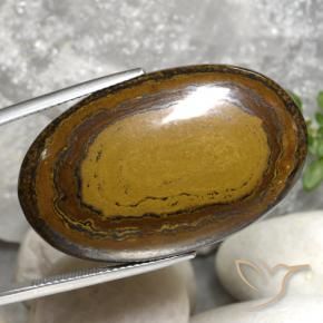 Ojo de Tigre Marrón cálido natural de 51.22 ct, Ovalada, Opaco