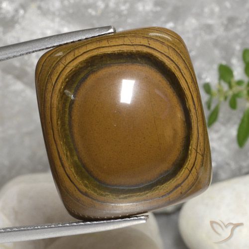 40.92ct Natural Marrón dorado Ojo de Tigre, Forma Cojín, Opaco
