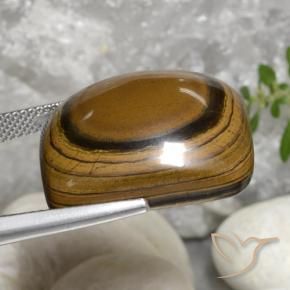 Ojo de Tigre Marrón dorado natural de 40.92 ct, Forma Cojín, Opaco