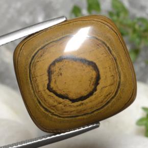 Tiger's eye marrón natural de 23,77 ct, corte cojín, opaco