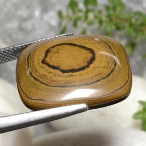 Tiger's eye marrón natural de 23,77 ct, corte cojín, opaco