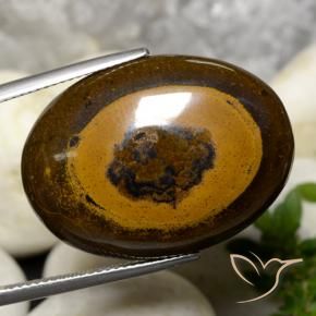Ojo de Tigre Marrón cálido natural de 36.09 ct, Ovalada, Opaco